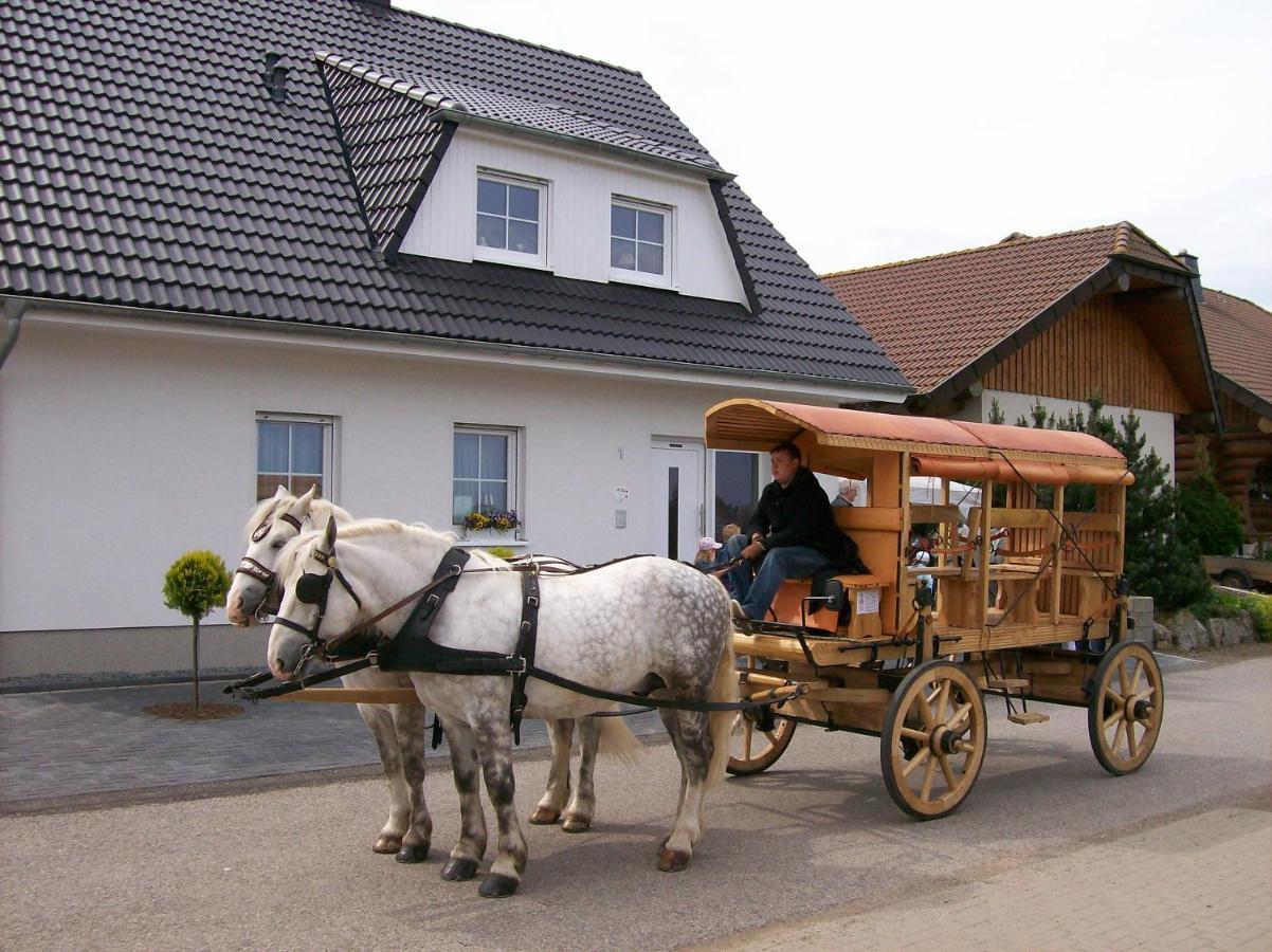 Bed and Breakfast Gastehaus „Haus Am Hahnenberg“ Marmagen Zewnętrze zdjęcie